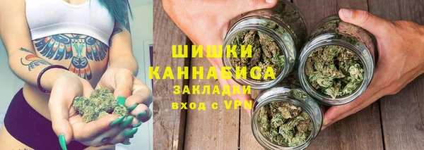 гашик Арсеньев