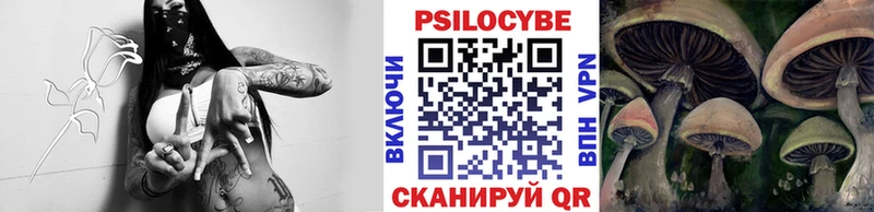 купить наркотик  Пустошка  Галлюциногенные грибы ЛСД 